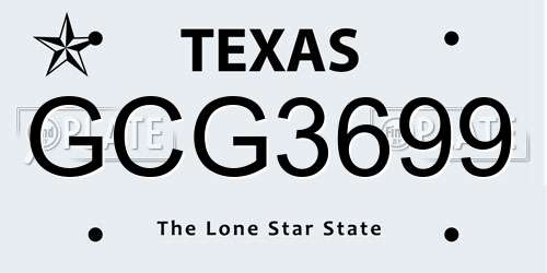 GCG3699 Texas License Plate