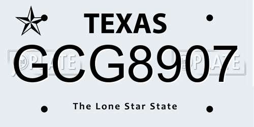 GCG8907 Texas License Plate
