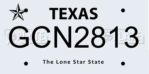 GCN2813 Texas License Plate