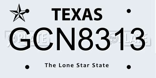 GCN8313 Texas License Plate