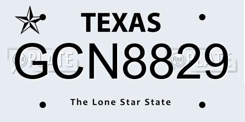 GCN8829 Texas License Plate