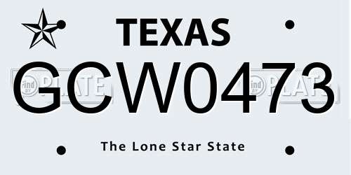 GCW0473 Texas License Plate