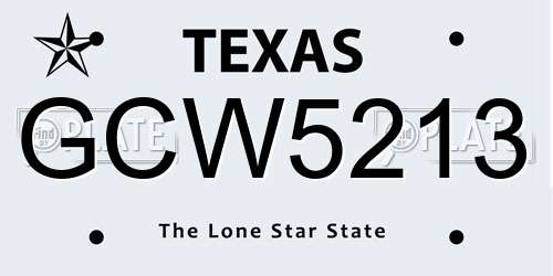 GCW5213 Texas License Plate
