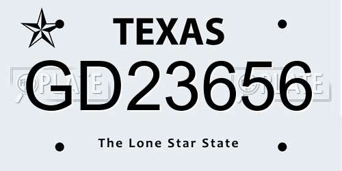 GD23656 Texas License Plate