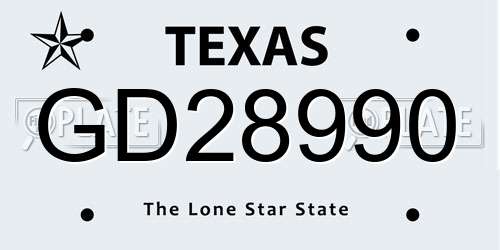 GD28990 Texas License Plate