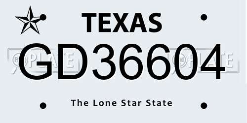 GD36604 Texas License Plate