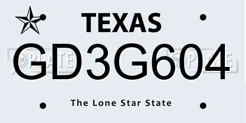 GD3G604 Texas License Plate