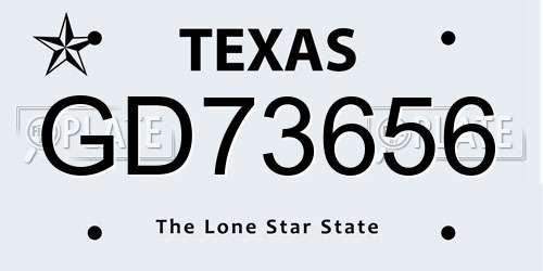 GD73656 Texas License Plate