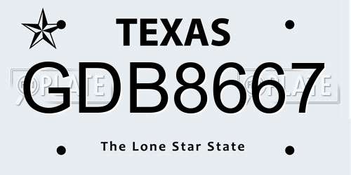 GDB8667 Texas License Plate