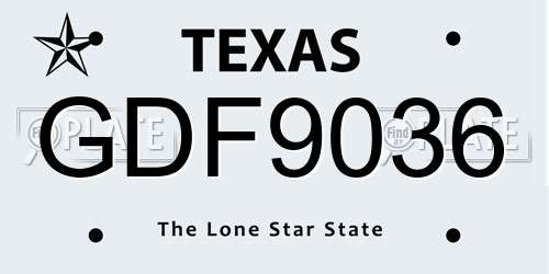 GDF9036 Texas License Plate