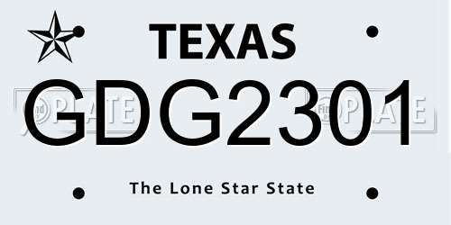 GDG2301 Texas License Plate