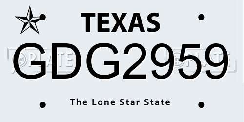 GDG2959 Texas License Plate