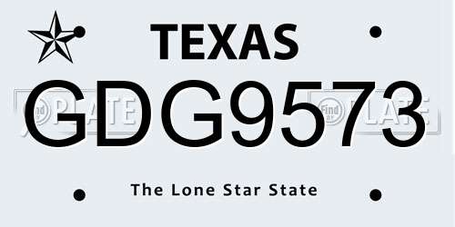 GDG9573 Texas License Plate