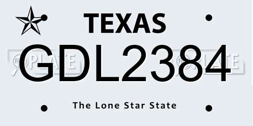 GDL2384 Texas License Plate