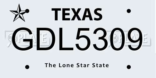 GDL5309 Texas License Plate