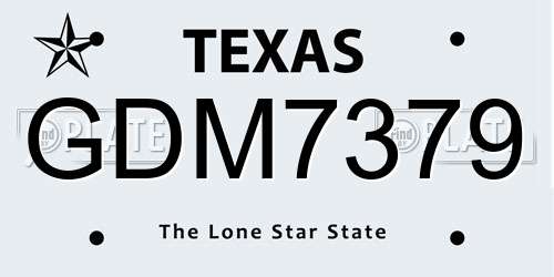 GDM7379 Texas License Plate