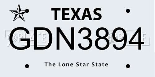 GDN3894 Texas License Plate