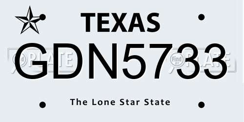 GDN5733 Texas License Plate