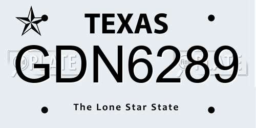 GDN6289 Texas License Plate