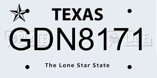 GDN8171 Texas License Plate
