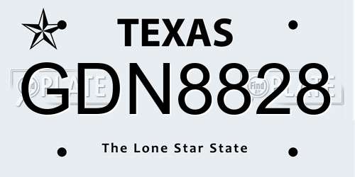 GDN8828 Texas License Plate