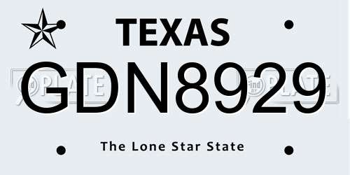 GDN8929 Texas License Plate