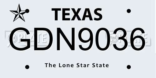 GDN9036 Texas License Plate