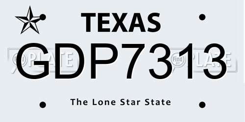 GDP7313 Texas License Plate