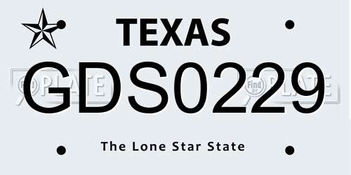 GDS0229 Texas License Plate