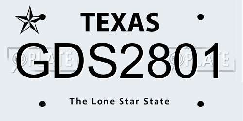 GDS2801 Texas License Plate