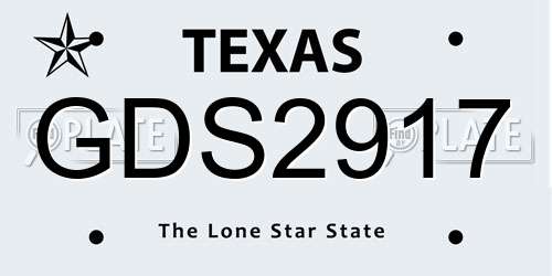 GDS2917 Texas License Plate