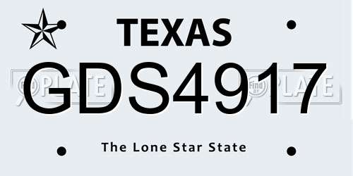 GDS4917 Texas License Plate