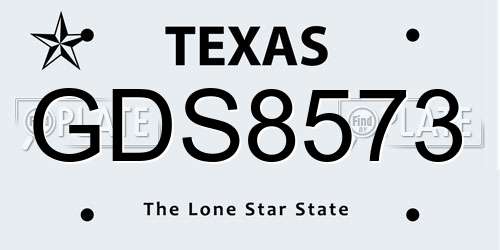 GDS8573 Texas License Plate