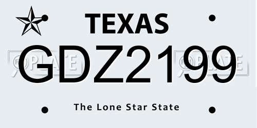 GDZ2199 Texas License Plate