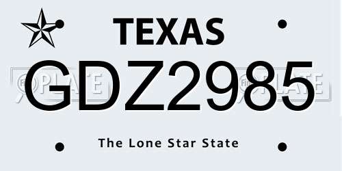 GDZ2985 Texas License Plate