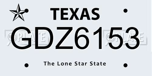 GDZ6153 Texas License Plate