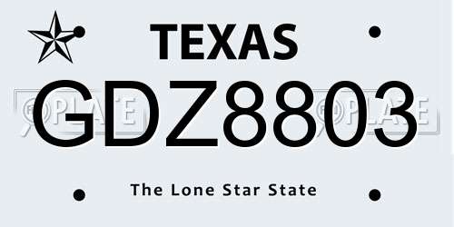 GDZ8803 Texas License Plate