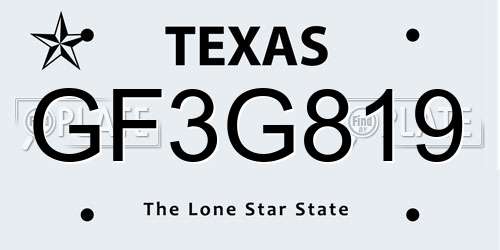 GF3G819 Texas License Plate