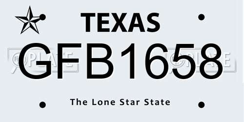 GFB1658 Texas License Plate