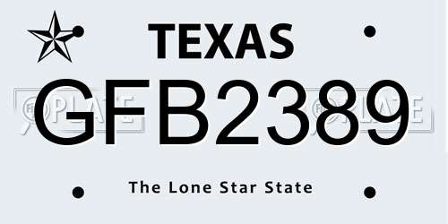 GFB2389 Texas License Plate