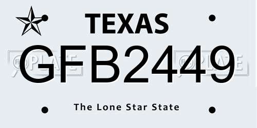 GFB2449 Texas License Plate