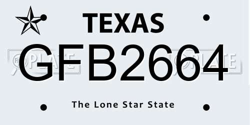 GFB2664 Texas License Plate