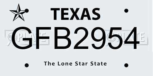 GFB2954 Texas License Plate