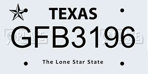 GFB3196 Texas License Plate