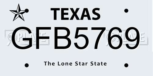 GFB5769 Texas License Plate