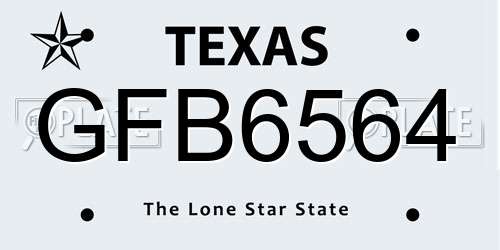 GFB6564 Texas License Plate