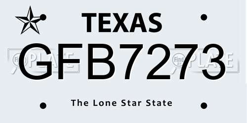 GFB7273 Texas License Plate