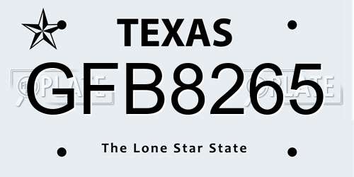 GFB8265 Texas License Plate