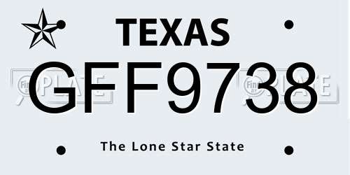 GFF9738 Texas License Plate