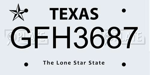 GFH3687 Texas License Plate